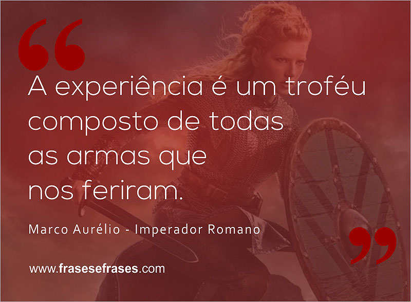 A experiência é um troféu composto de todas as armas que nos feriram.