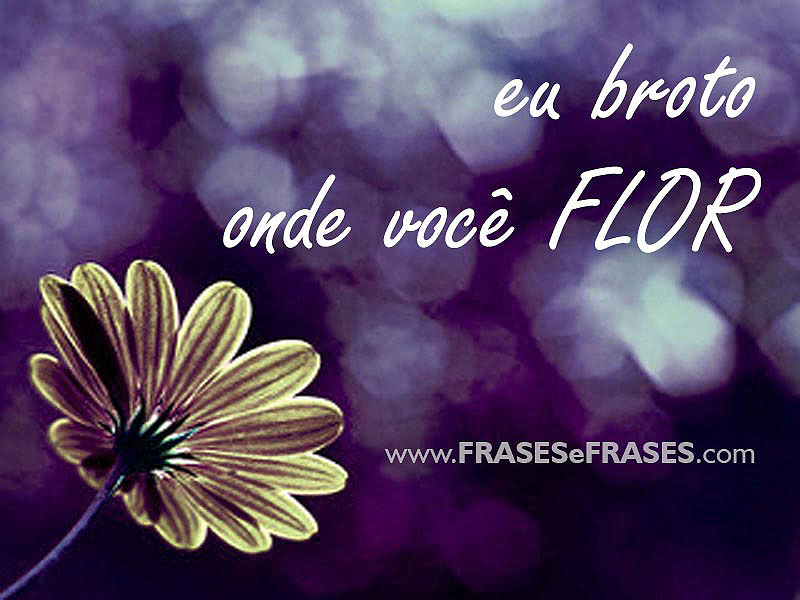 Eu broto onde você flor