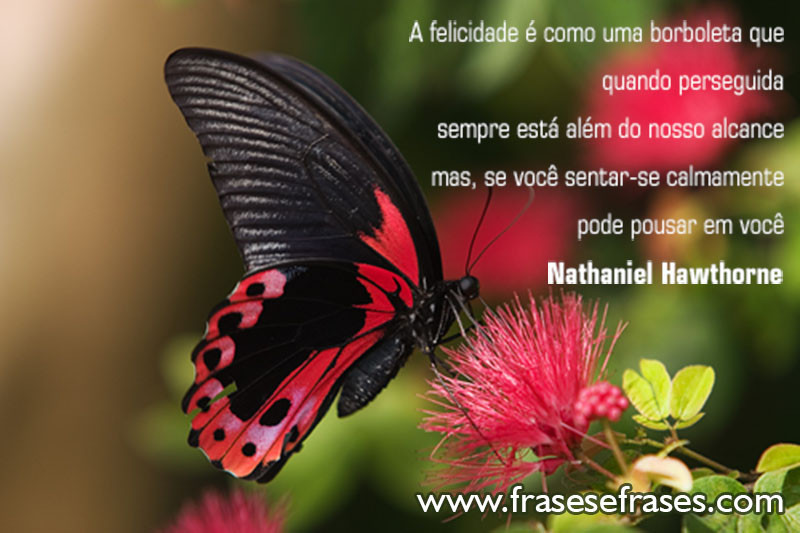 A felicidade é como uma borboleta que quando perseguida sempre está além do nosso alcance, mas, se você sentar-se calmamente, pode pousar em você. 