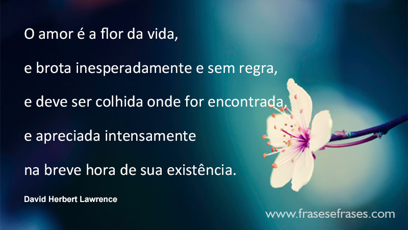 O amor é a flor da vida,  e brota inesperadamente e sem regra,  e deve ser colhida onde for encontrada,  e apreciada intensamente  na breve hora de sua existência. 