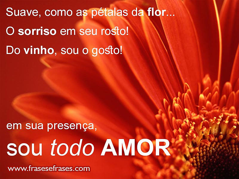 Suave, como as pétalas da flor...  O sorriso em seu rosto. Do vinho, sou o gosto. Em sua presença, Sou todo amor!