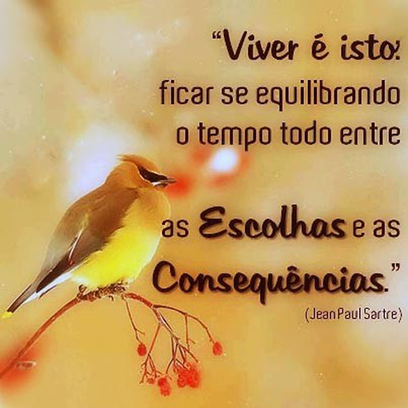 Viver é isto: ficar se equilibrando o tempo todo entre escolhas e suas consequências.