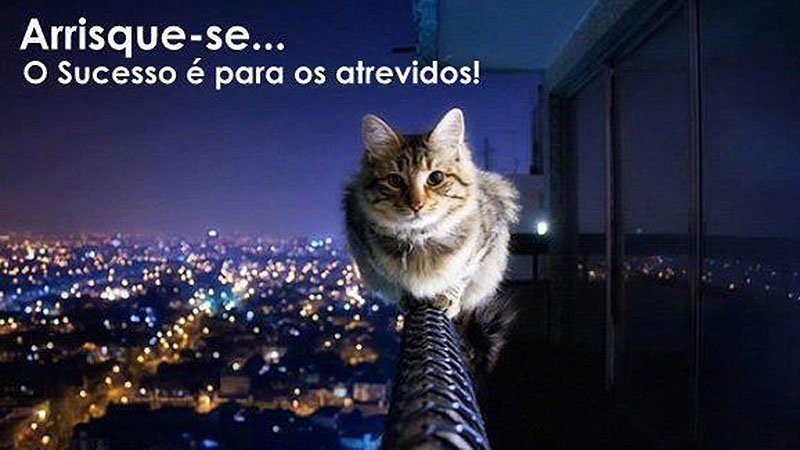 Arrisque-se! O sucesso é para os atrevidos.