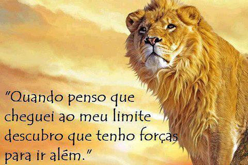 Quando penso que cheguei ao meu limite, descubro que tenho forças para ir além.