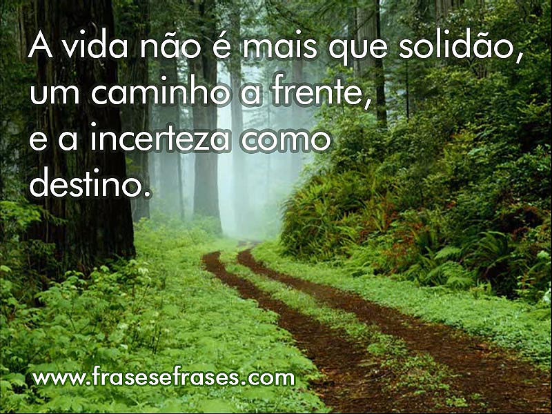 A vida não é mais que solidão, um caminho a frente, e a incerteza como destino.