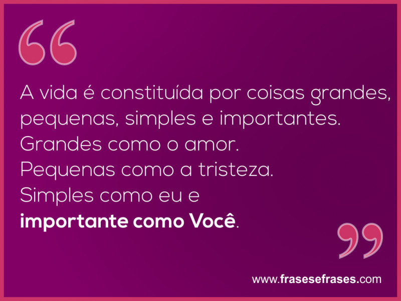 A vida é constituída por coisas grandes, pequenas, simples e importantes. Grandes como o amor, pequena como a tristeza, simples como eu e importante como você.