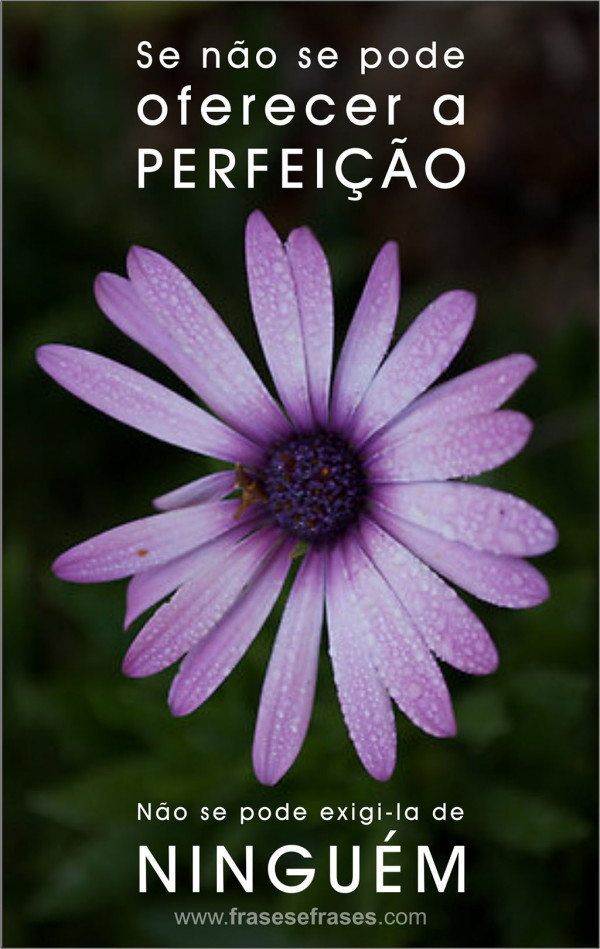 Se não se pode oferecer a perfeição, não se pode exigi-la de ninguém.