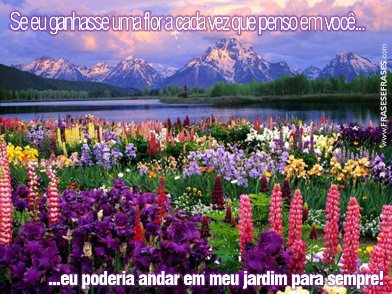 Frases de Você é Especial Se eu ganhasse uma flor a cada vez que penso em você... ...eu poderia andar no meu jardim para sempre.
