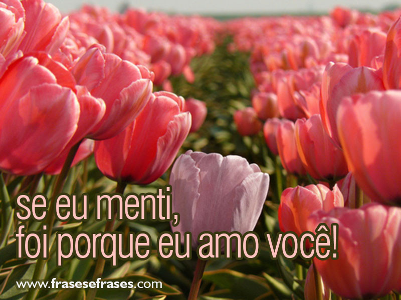 Se eu menti, foi porque eu AMO VOCÊ!