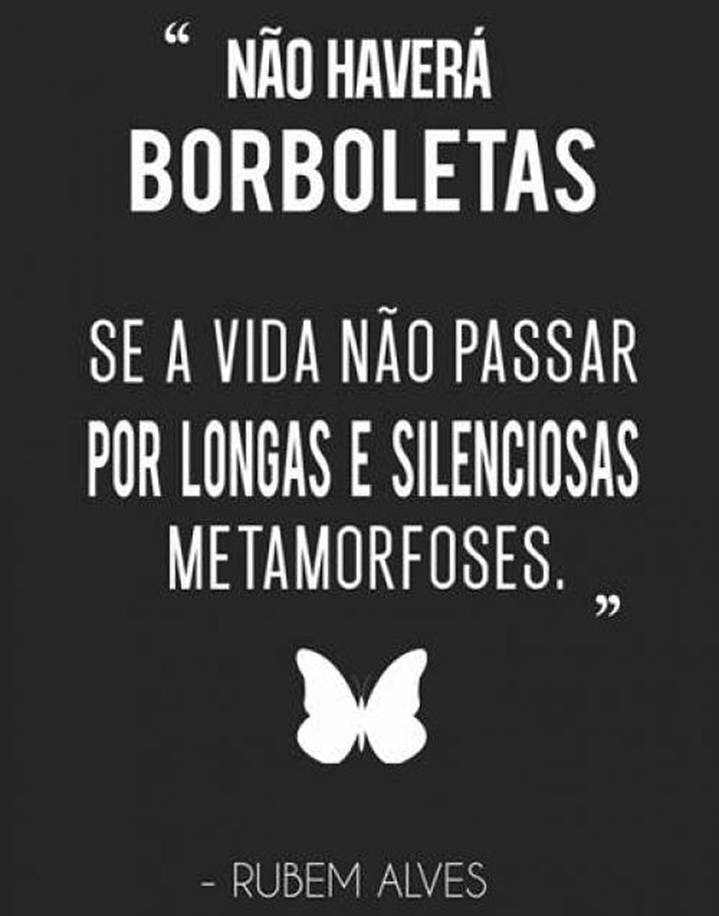 Não haverá borboletas se a vida não passar por longas e silenciosas metamorfoses.
