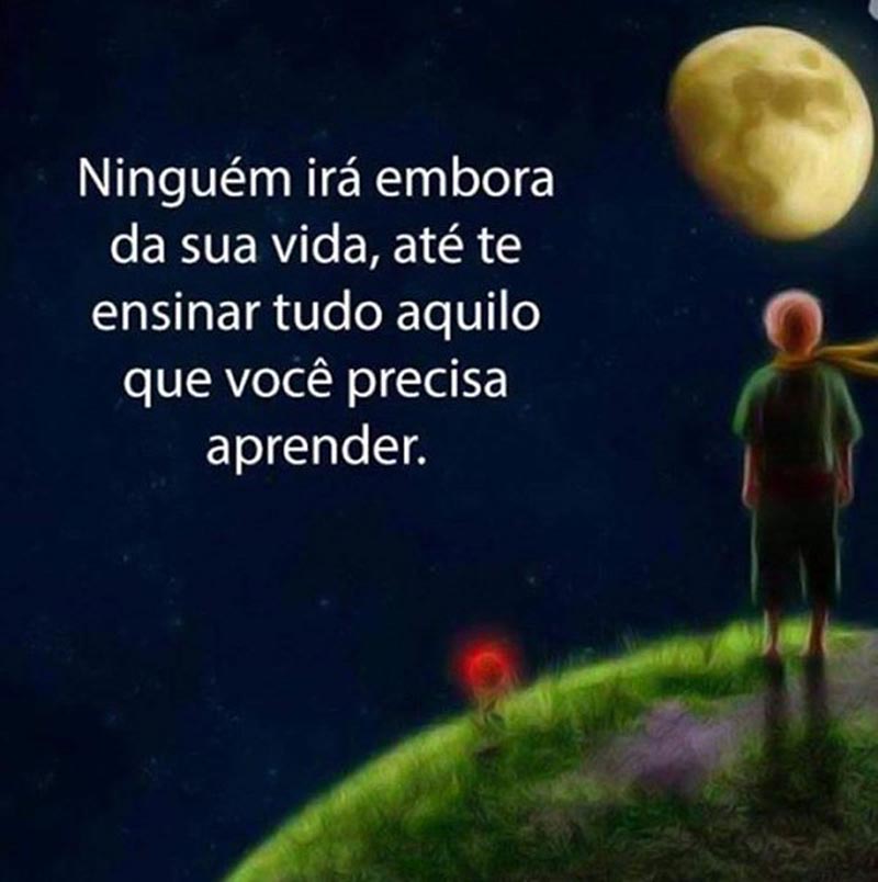 Ninguém irá embora da sua vida, até lhe ensinar tudo aquilo que você precisa aprender.