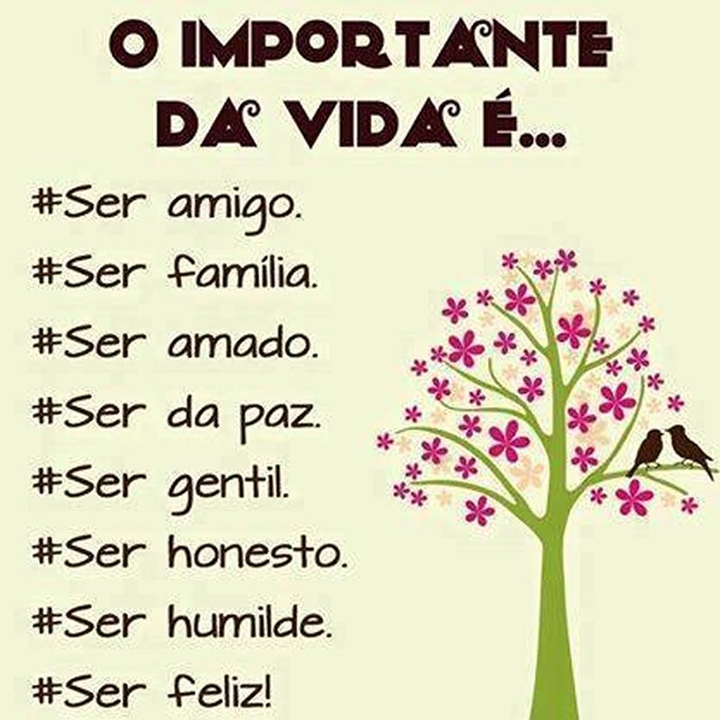 O importante da vida é... Ser amigo Ser família Ser amado Ser da paz Ser gentil Ser honesto Ser humilde Ser feliz