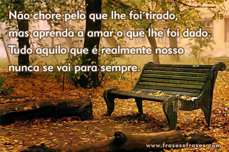 Não chore pelo que lhe foi tirado, mas aprenda a amar o que lhe foi dado. Tudo aquilo que é realmente nosso, nunca se vai para sempre.