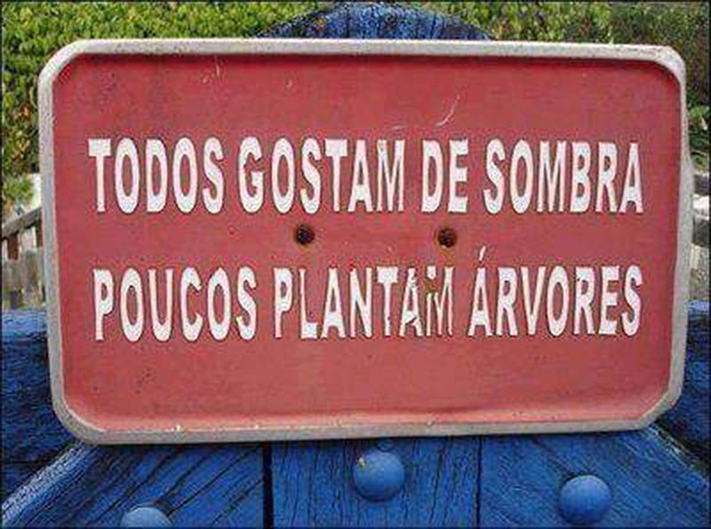 Todos gostam de sombra. Poucos plantam árvores.