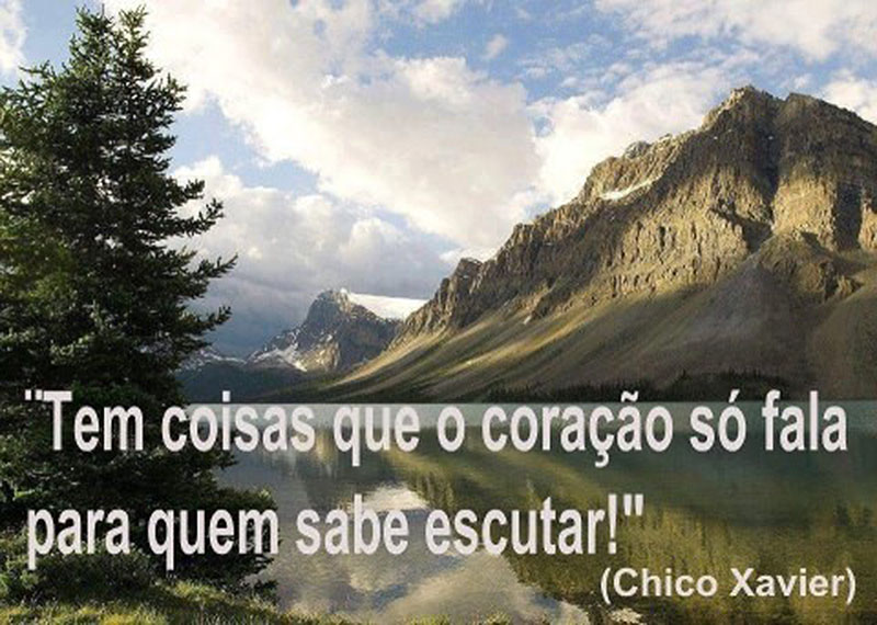 Tem coisas que o coração só fala para quem sabe escutar.