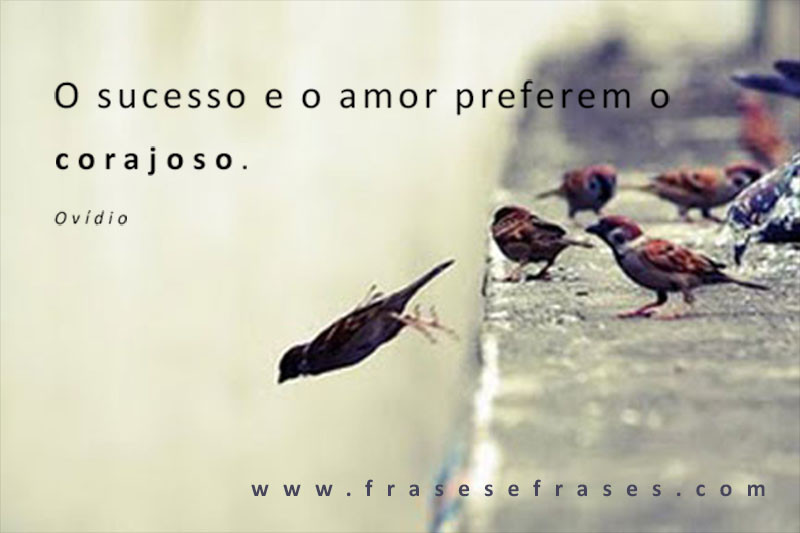 O sucesso e o amor preferem o corajoso.
