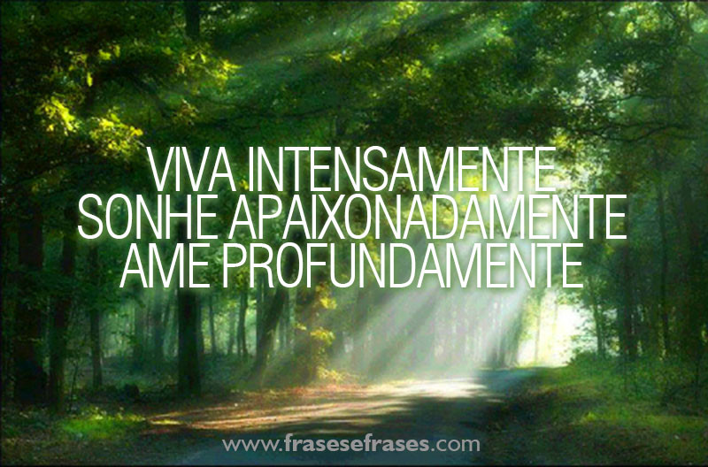 VIVA INTENSAMENTE SONHE APAIXONADAMENTE AME PROFUNDAMENTE